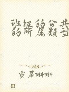 班级的公共小0的所属类型