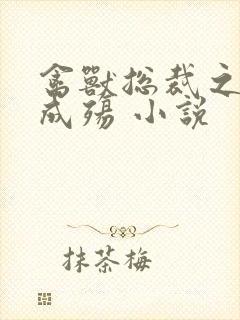 禽兽总裁之虐爱成殇 小说