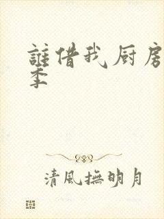 谁借我厨房第二季