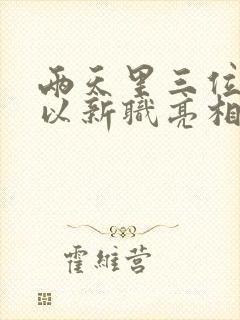 两天里三位将军以新职亮相