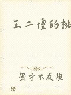 王二傻的桃花运