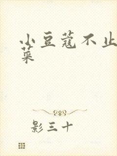 小豆蔻不止是颗菜