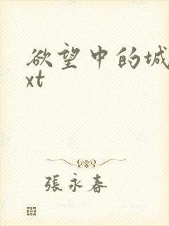 欲望中的城市txt