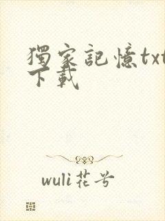 独家记忆txt下载