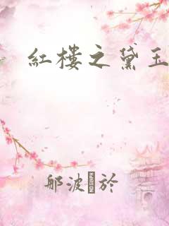 红楼之黛玉之弟