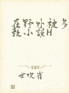 在野外被多人调教小说H