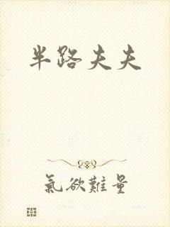 半路夫夫
