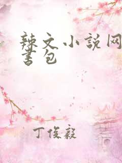 辣文小说网第二书包