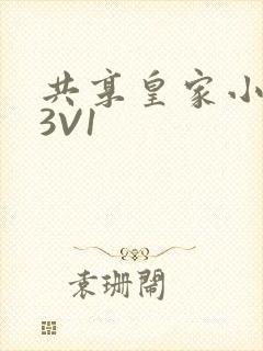 共享皇家小公主3V1