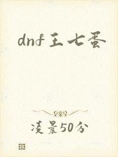 dnf王七蛋
