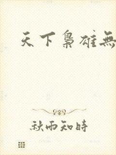 天下枭雄无弹窗