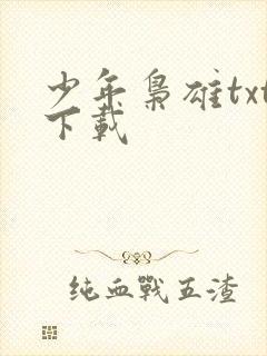 少年枭雄txt下载