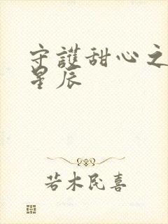 守护甜心之暗夜星辰