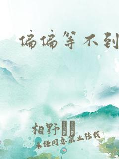 偏偏等不到小说