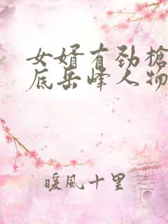 女婿有劲枪枪到底岳峰人物小说