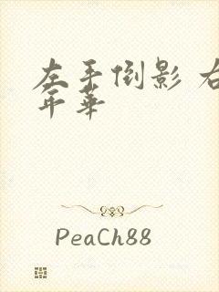 左手倒影 右手年华