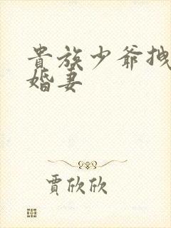 贵族少爷拽拽未婚妻