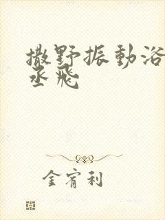 撒野振动浴缸车丞飞