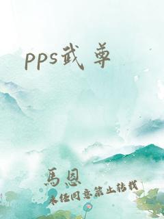 pps武尊