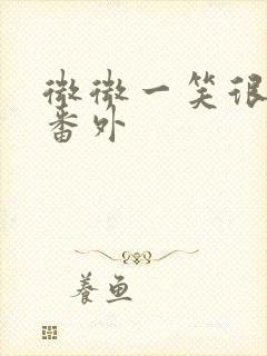 微微一笑很倾城番外