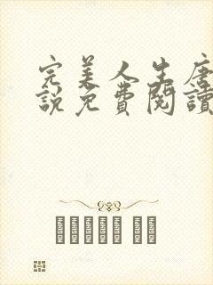 完美人生唐诚小说免费阅读