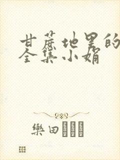 甘蔗地里的公熄全集小娟