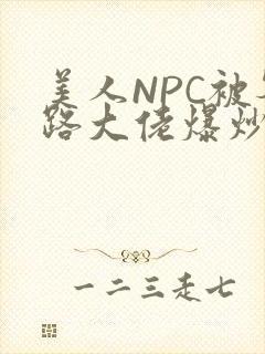 美人NPC被各路大佬爆炒小说