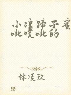 小浪蹄子蜜水噗呲噗呲的