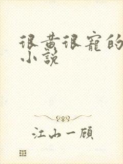 很黄很宠的总裁小说