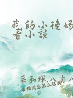 我的小后妈免费看小说