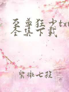 至尊狂少txt全集下载