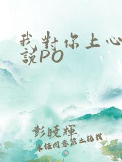 我对你上心了小说PO