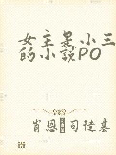女主是小三很婊的小说PO