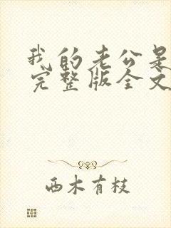 我的老公是冥王完整版全文免费阅读