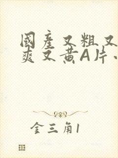 国产又粗又猛又爽又黄A片小说