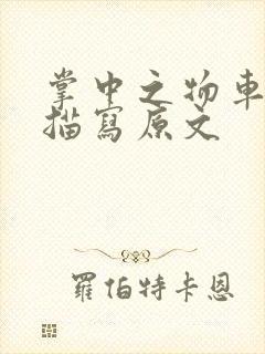 掌中之物车里震描写原文