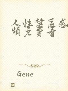 人性禁区感人视频免费看