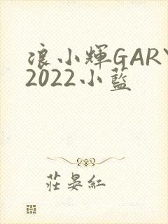 浪小辉GARY2022小蓝