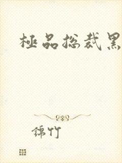 极品总裁黑道妻