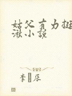 姑父有力挺送徐湫小说