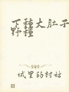 下种大肚子怀孕野种