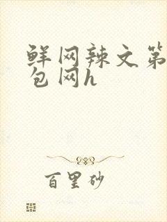 鲜网辣文第二书包网h