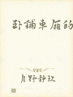 卧铺车厢的艳遇