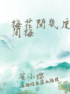 梅花开几度老张周梅