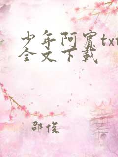 少年阿宾txt全文下载