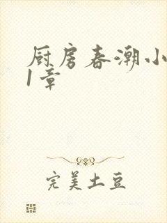 厨房春潮小说第1章