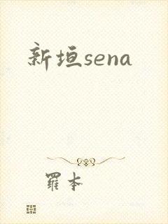 新垣sena