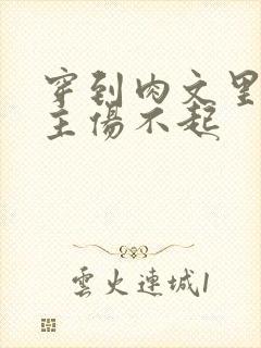 穿到肉文里的女主伤不起