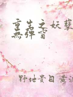 重生之妖孽人生无弹窗