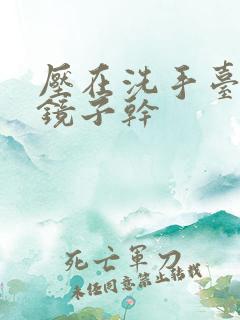 压在洗手台看着镜子干